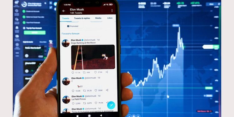 Elon Musk`s cryptic Dogecoin tweet, Tradecurve first hybrid exchange soars another 25 percent