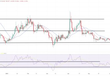 Dogecoin Suffers Significant Decline Following SEC Legal Actions