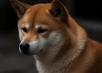 Why Dogecoin traders should brace for volatility