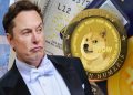 Investors allege Elon Musk of insider trading in a Dogecoin lawsuit