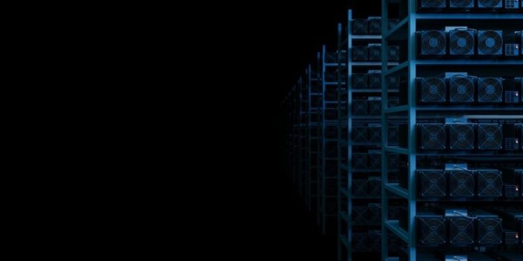 Zebi Token (ZEBI) Rises 32.43%, Outperforms the Crypto Market Monday