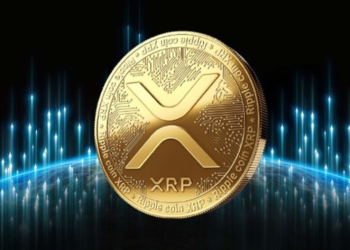Bitcoin, XRP, and DogeMiyagi shaking up traditional finance