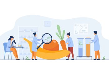 Cryptocurrency Market: The Future of Digital Finance and Payments