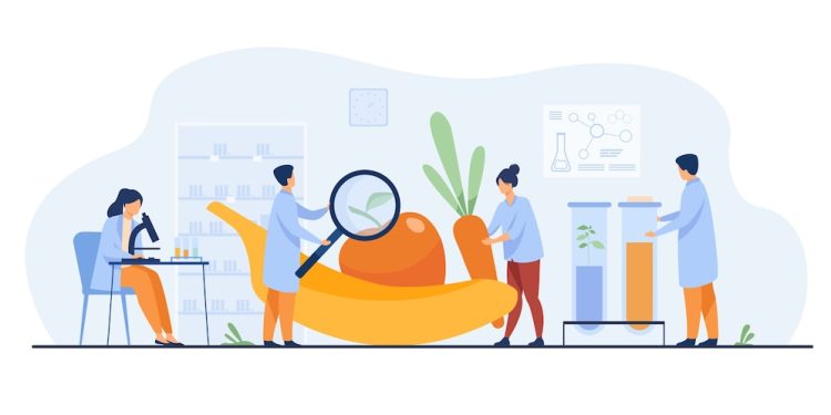 Cryptocurrency Market: The Future of Digital Finance and Payments