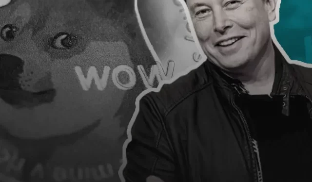 Elon Musk Backs Dogecoin: Pepe Coin Soars 15% in Crypto Resurgence – Coinpedia Fintech News