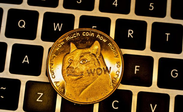 Newcomer DigiToads (TOADS) thrives alongside Historical Neme Coins Dogecoin (DOGE) and Shiba Inu (SHIB), Creating 10x Opportunities