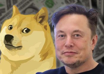 Elon Musk Denies Owning Dogecoin In Response To Insider Trading Lawsuit