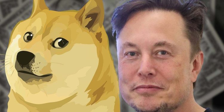 Elon Musk Denies Owning Dogecoin In Response To Insider Trading Lawsuit