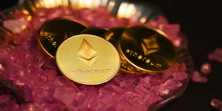 A Beginner’s Guide to Diversifying Your Crypto Portfolio