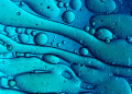 Know your real clients: Use PROXY protocol on Red Hat OpenShift on IBM Cloud