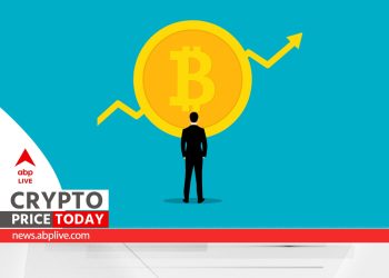Cryptocurrency Price Today In India July 12 Check Global Market Cap Bitcoin BTC Ethereum Doge Solana Litecoin SOL Mina NEM XEM