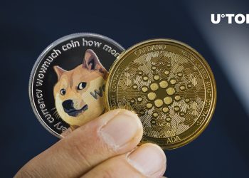 Dogecoin Gains Ground on Cardano as Bitcoin Falls to Sub-$29K Levels