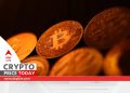 Cryptocurrency Price Today: Bitcoin, Dogecoin See Gains As XDC Network Becomes Top Gainer