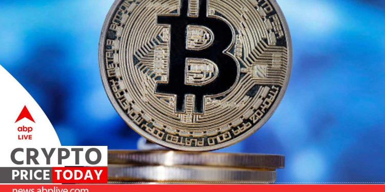 Cryptocurrency Price Today: Bitcoin Remains Above 29,000 Mark As Shiba Inu Becomes Top Gainer