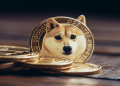 I asked ChatGPT for investment advice regarding Dogecoin, it told me to…