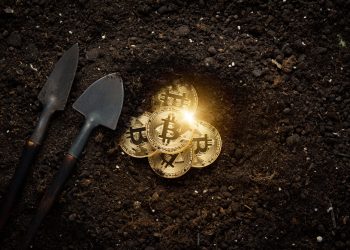 The Dismantling of an Illegal Cryptocurrency Mining Farm in Borneo – CryptoMode