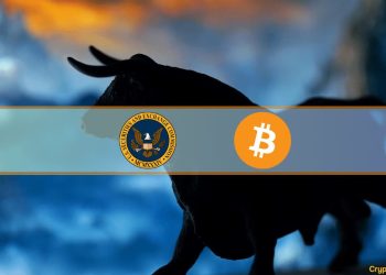 Is the SEC the Key Behind the Next Crypto Bull Market?