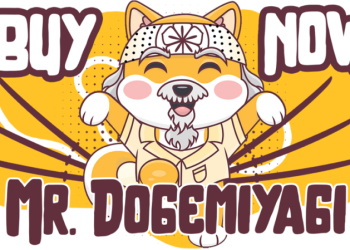 DogeMiyagi, XRP and Ethereum: Navigating Crypto regulations
