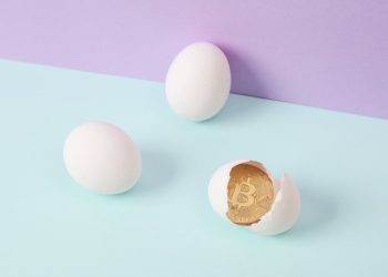 Eggs priced in Bitcoin down 82% in 5 years