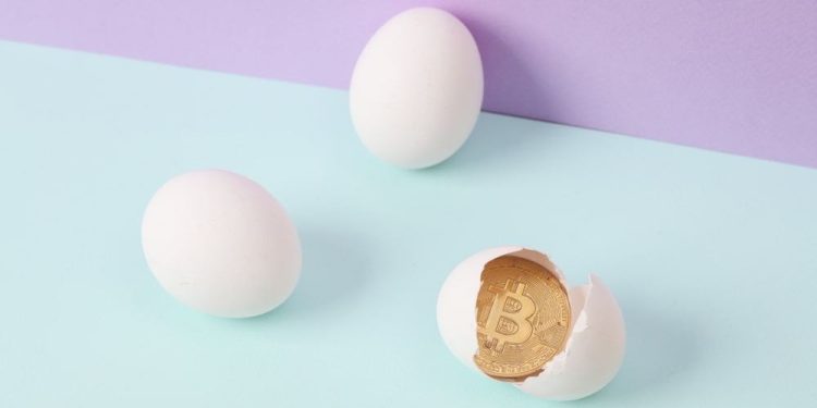 Eggs priced in Bitcoin down 82% in 5 years