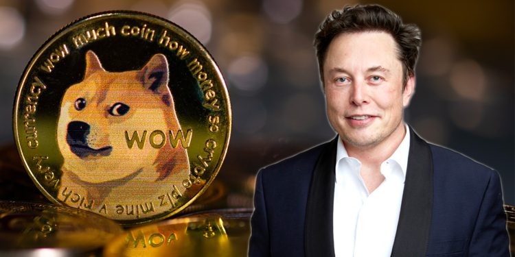 Elon Musk Incorporates Dogecoin Symbol In Twitter Bio, Triggering 5% Increase In Price