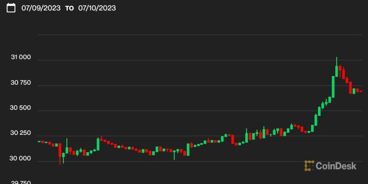 Bitcoin Falls Back Below $31K After Late Monday Surge
