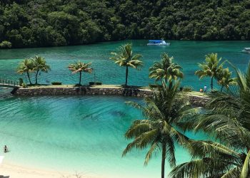 Palau Is Starting a Stablecoin Trial That Will Be on Ripple’s XRP Ledger