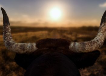 XRP Momentum Could Set Precedent for Bitcoin