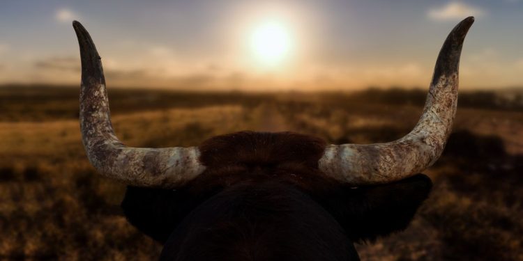 XRP Momentum Could Set Precedent for Bitcoin