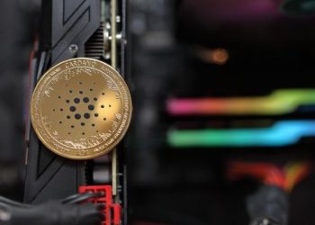 Cardano (ADA) Rises 2.46%, Outperforms the Crypto Market Wednesday