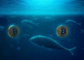 Bitcoin: Institutional investors find new opportunity in BTC accumulation