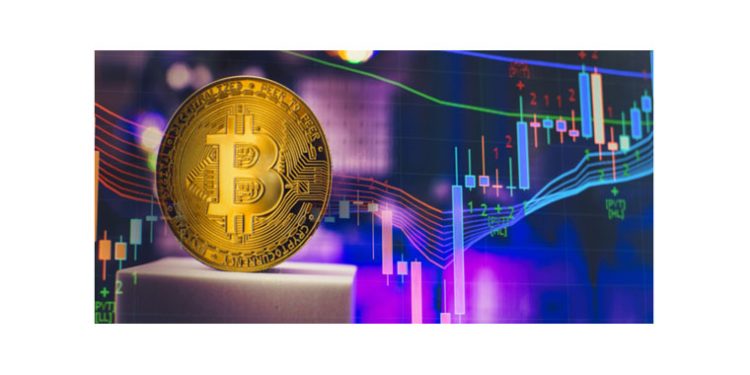 Bitcoin (BTC) Stalls as Memecoins Dogecoin (DOGE) and DigiToads (TOADS) Presale Shine with Remarkable Success