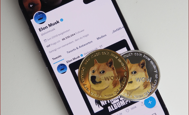 Dogecoin, DigiToads, and Meme coin community reacts to Elon … – Cyprus Mail