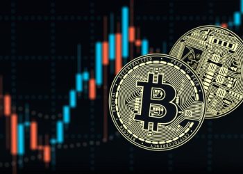 Is DCA the Way? Diligent Bitcoin Buyers Declared Back in the Black