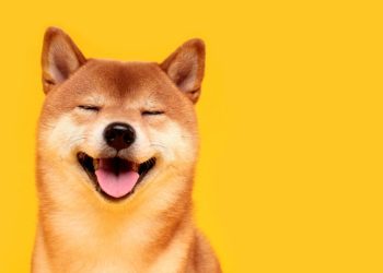 Dogecoin goes for a run – Proactive Investors UK