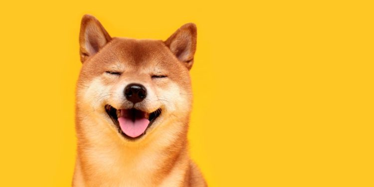 Dogecoin goes for a run – Proactive Investors UK