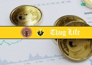Could These Meme Coins Explode Next?