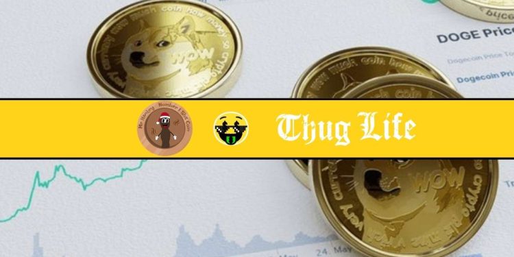 Could These Meme Coins Explode Next?