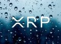 XRP and Dogecoin lead crypto market rally, but how sustainable is this?