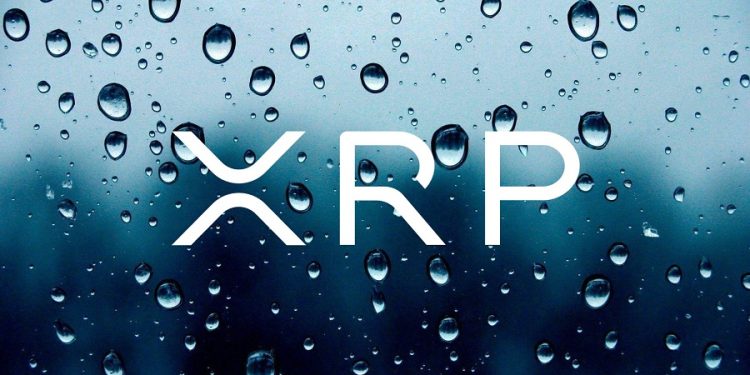 XRP and Dogecoin lead crypto market rally, but how sustainable is this?