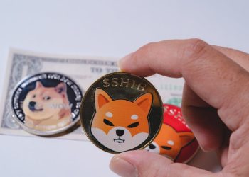 Shiba Inu Falls Lower In Tandem With Dogecoin But Bulls Need Not Worry: A Technical Analysis