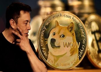 Tesla Retains Dogecoin As Payment Option; Removes Bitcoin