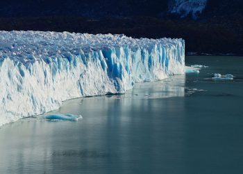 SingularityNET Partners with Blockchain Firm VeChain to Fight Climate Change