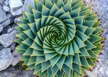 Streamlining compliance with IBM Cloud Infrastructure as Code and a shift-left approach