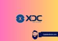 Forget Dogecoin, XDC Token Is the New King of Crypto Volatility