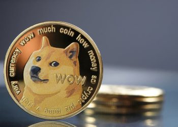 Dogecoin Pumps After Elon Musk Secures Crypto Wallet License For X