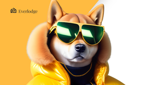 Shiba Inu (SHIB) and Dogecoin (DOGE) Lack the Long-Term Growth Potential of Everlodge (ELDG) – Here’s Why