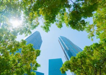 Crypto lender Maple Finance raises $5M to enter Asia amid regulatory clarity