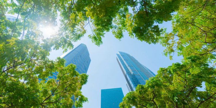 Crypto lender Maple Finance raises $5M to enter Asia amid regulatory clarity