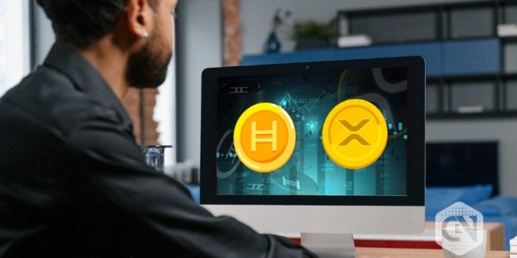 Investors divided: HBAR or XRP